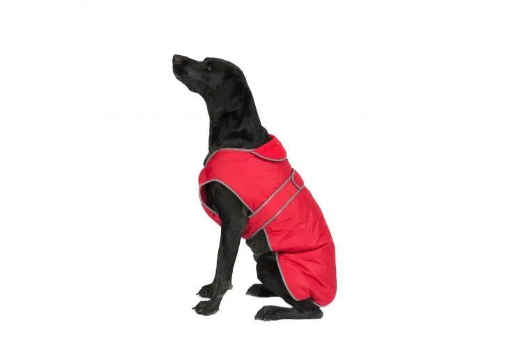 Ancol - Stormguard Dog Coat - Blue - Small