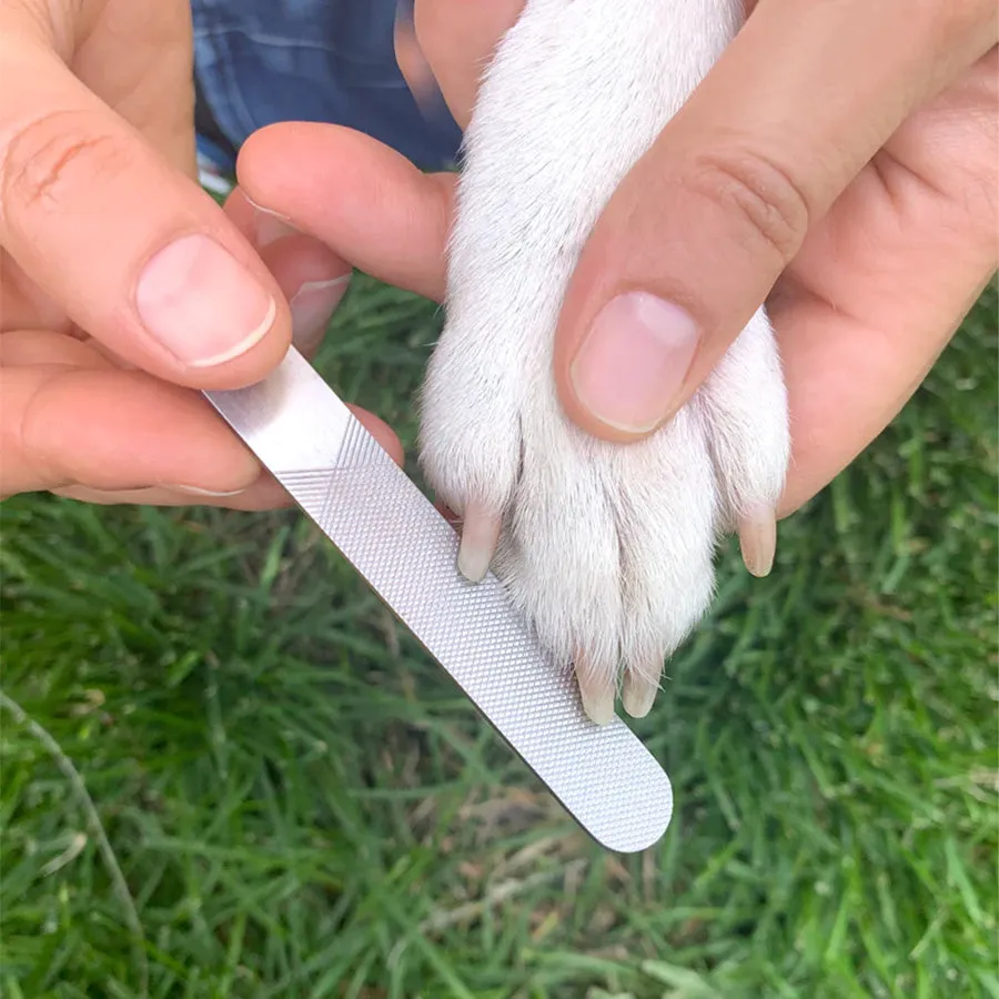 Dog Spa Day Kit